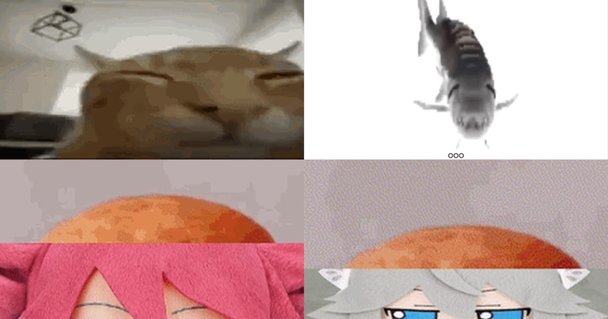 gifs