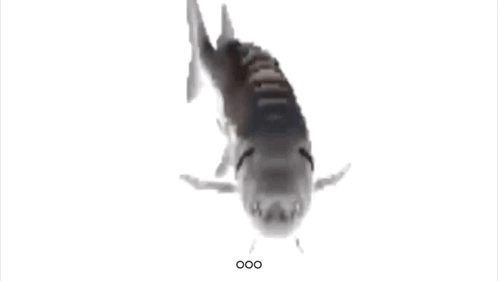 fiih.gif