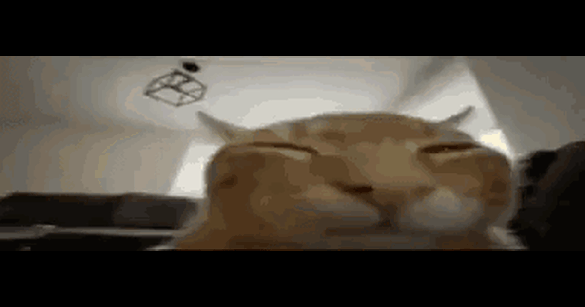 cat-meow.gif