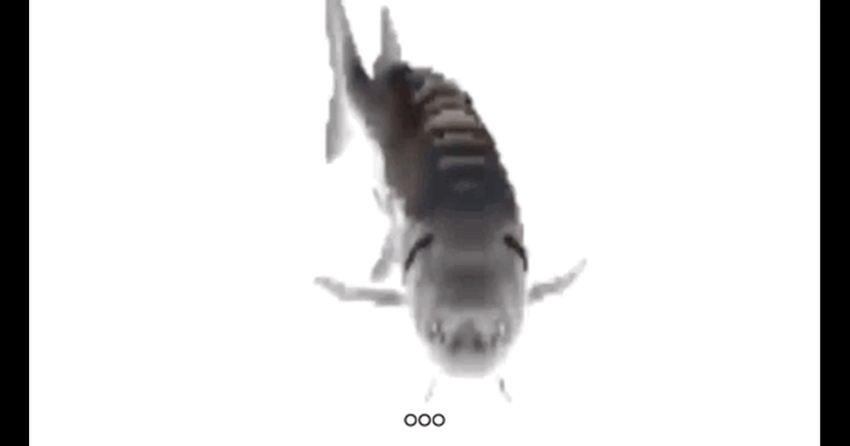 fiih.gif